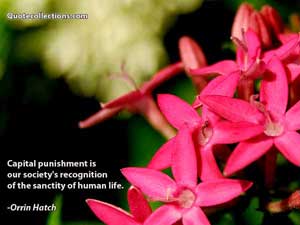 orrin_hatch_quotes Quotes 2